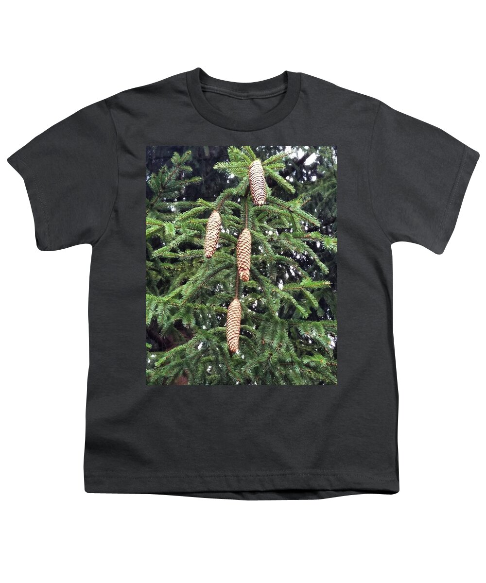 Pinecone Youth T-Shirt featuring the photograph Then There Were Four by Vic Ritchey