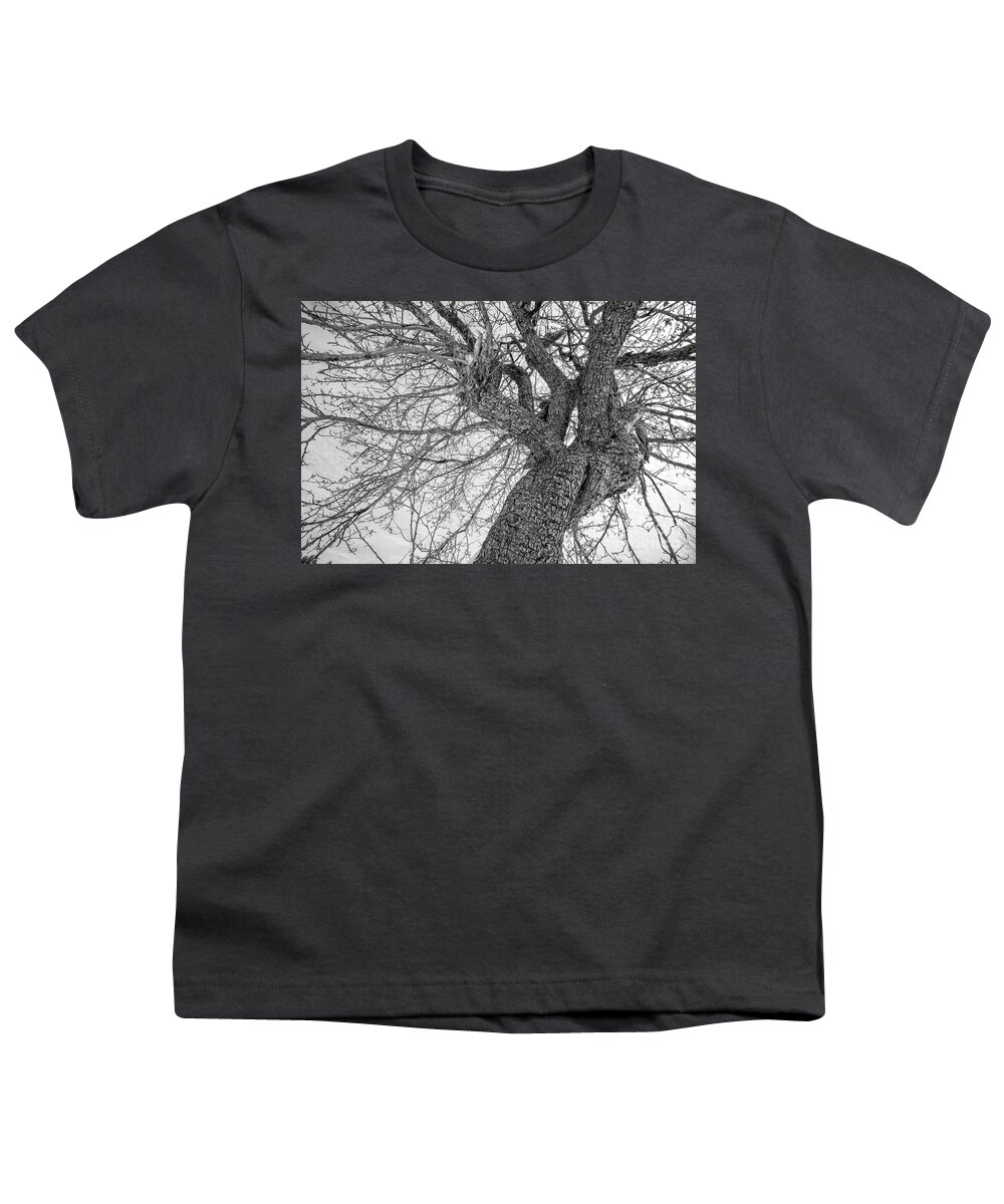 This Is Us Youth T-Shirt featuring the photograph This is Us Tree 2 by Edward Fielding