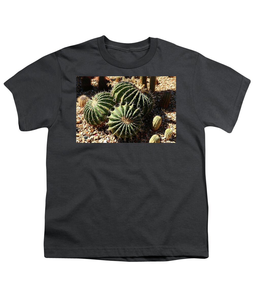 Cactus Youth T-Shirt featuring the photograph Three Amigos by Christiane Schulze Art And Photography