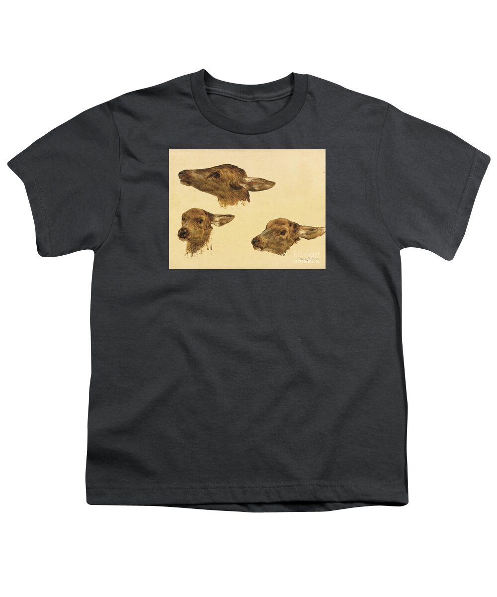 Rosa Bonheur 1822 - 1899 Three Studies Of A Doe's Head. Little Animals Youth T-Shirt featuring the painting Three Studies Of A Doe Head by MotionAge Designs