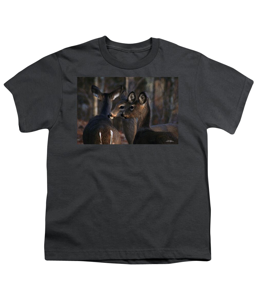 Deer Youth T-Shirt featuring the photograph Together by Bill Stephens