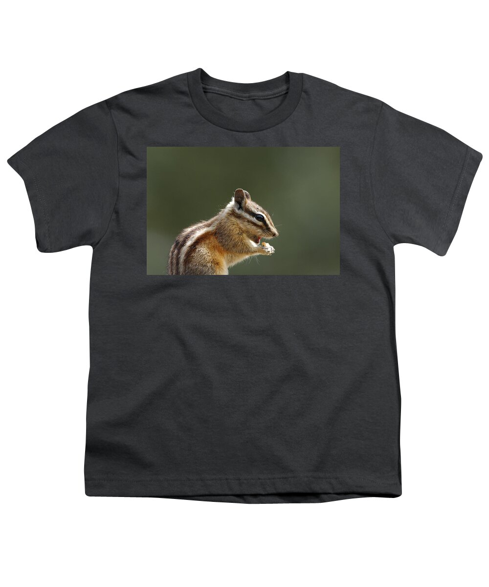 Squirrel Youth T-Shirt featuring the photograph Tongue In Cheek by Donna Blackhall