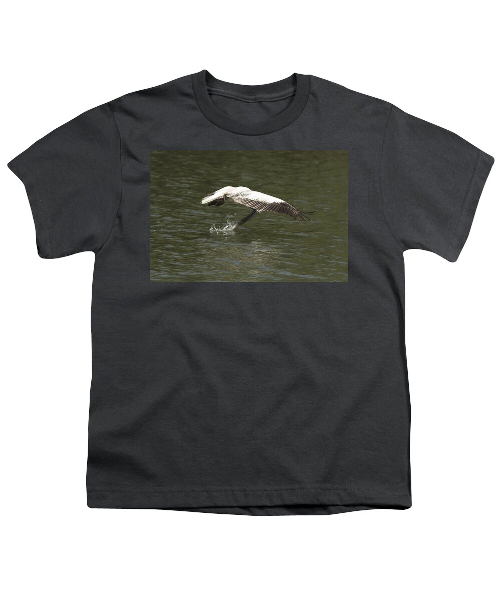 Pelican Youth T-Shirt featuring the photograph Touch Down by Ramabhadran Thirupattur