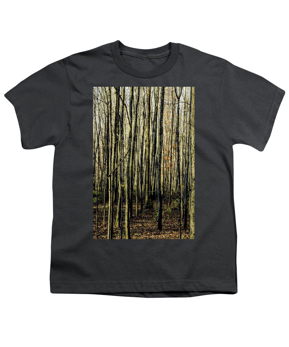 Treez Youth T-Shirt featuring the photograph Treez Yellow by Lon Dittrick