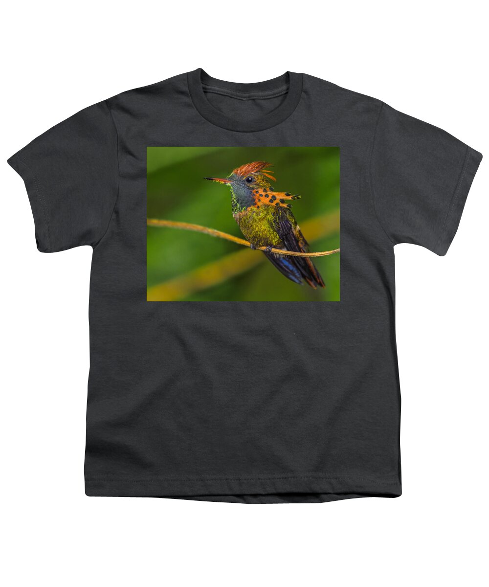 Tufted Coquette Youth T-Shirt featuring the photograph Tufted Coquette by Tony Beck