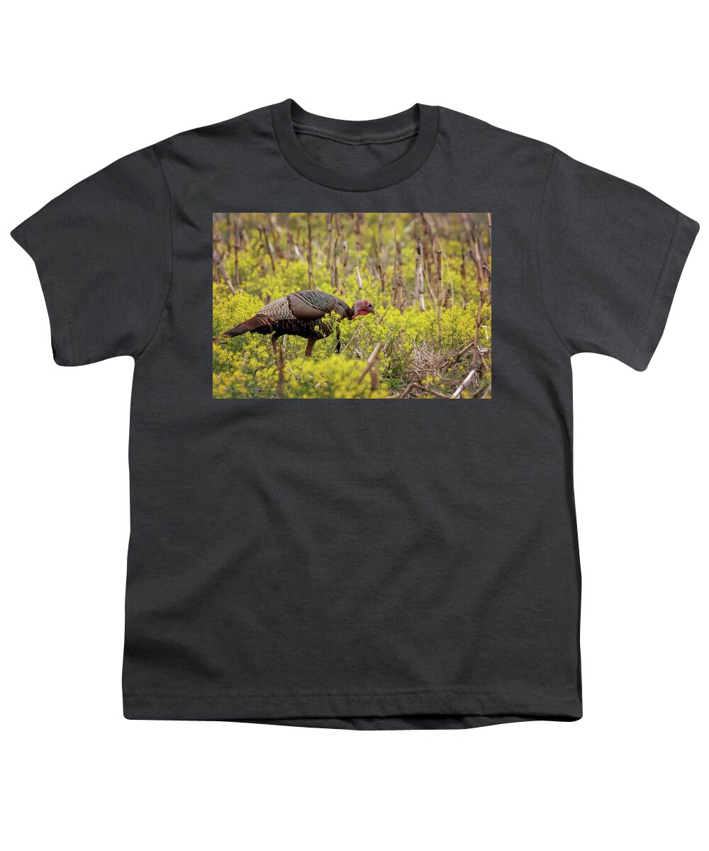 Turkey Youth T-Shirt featuring the photograph Turkey in the Goldenrod #1 by Susan Rissi Tregoning