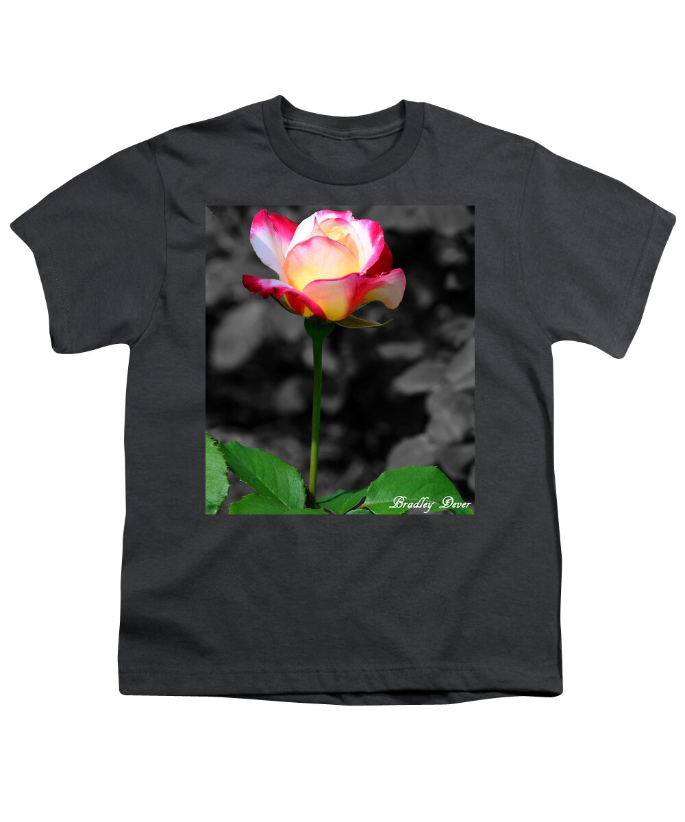 Pink And White Rose Youth T-Shirt featuring the photograph Unity Stands Out by Bradley Dever