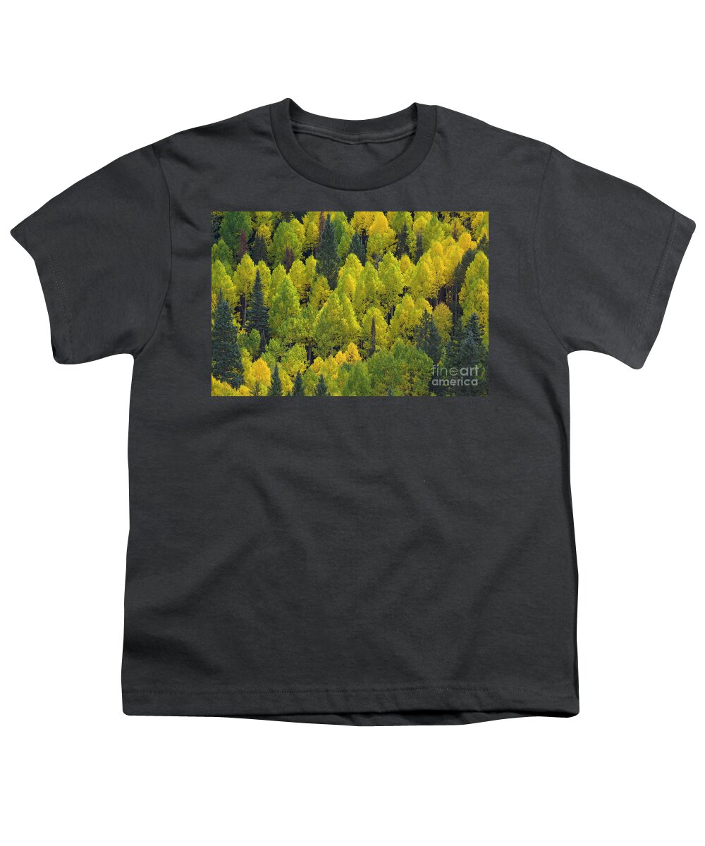 00559294 Youth T-Shirt featuring the photograph Autumn Quaking Aspens, Colorado by Yva Momatiuk and John Eastcott