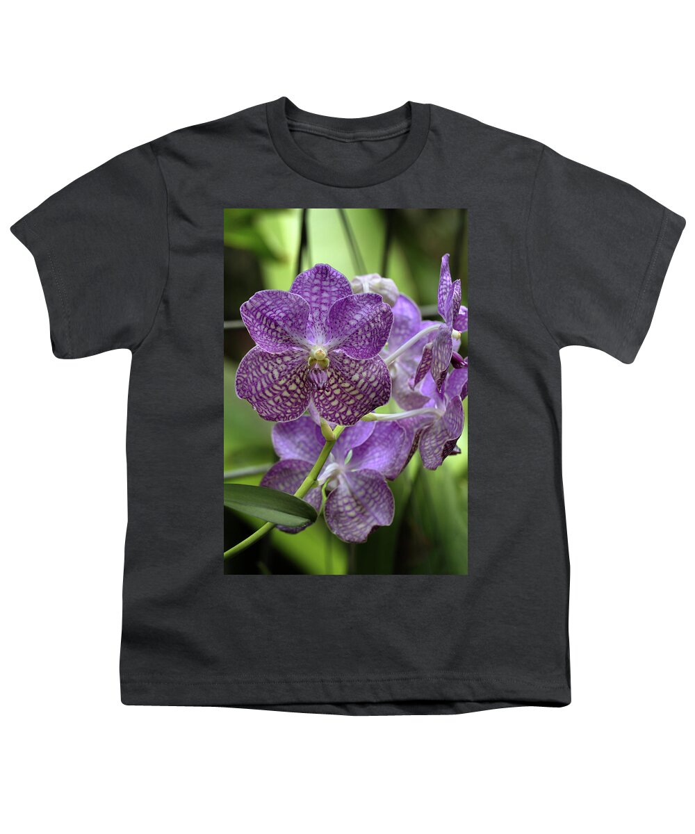 Orchid Youth T-Shirt featuring the photograph Vanda Orchid by Susan Rissi Tregoning