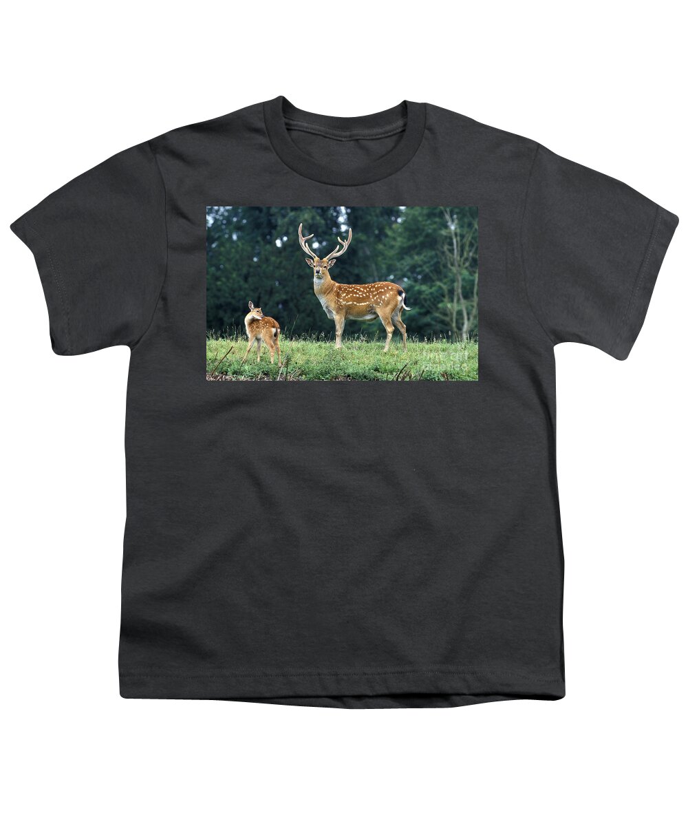 Adult Youth T-Shirt featuring the photograph Vietnamese Sika Deer by Gerard Lacz