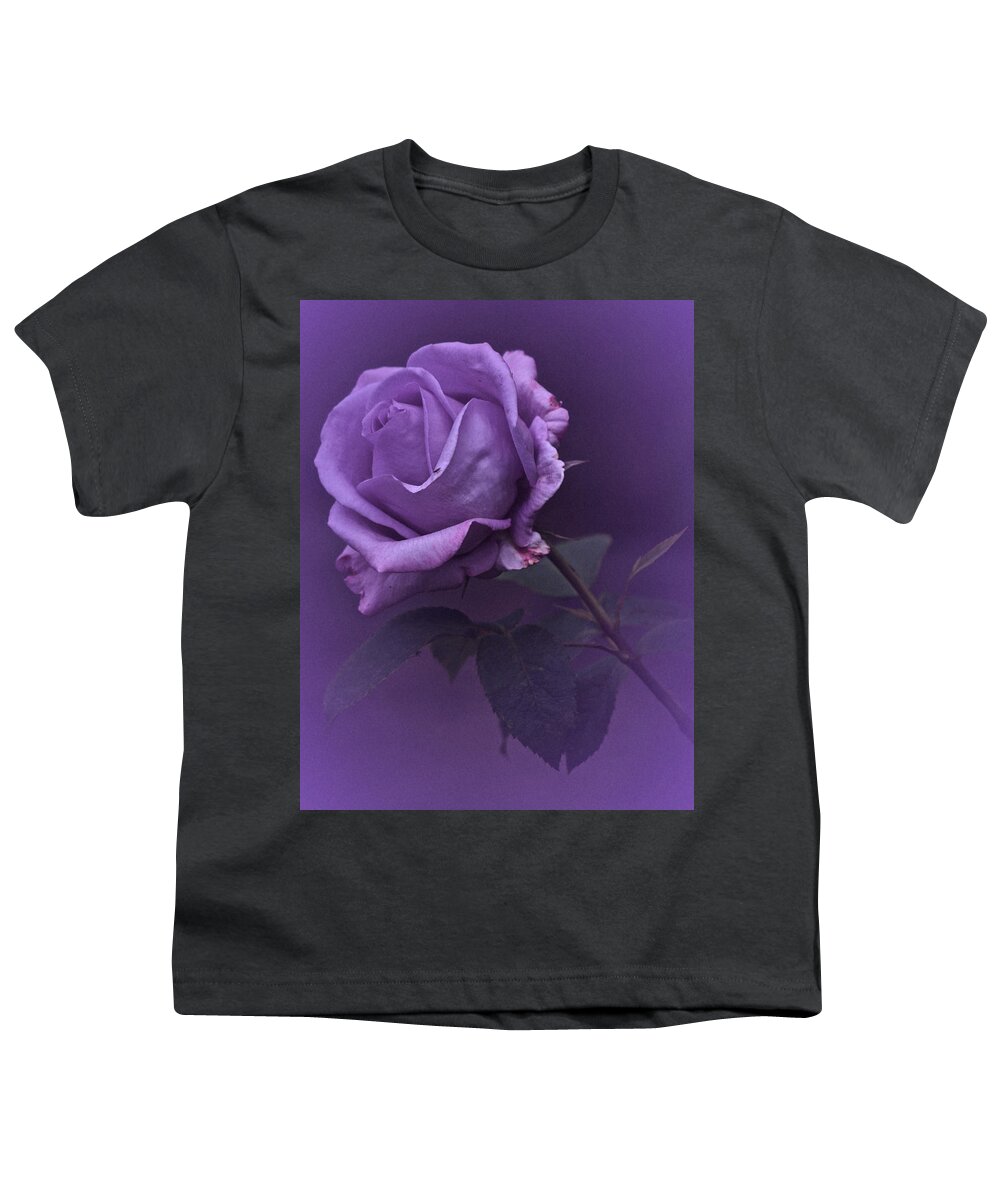 Purple Rose Youth T-Shirt featuring the photograph Vintage 2017 Purple Rose by Richard Cummings
