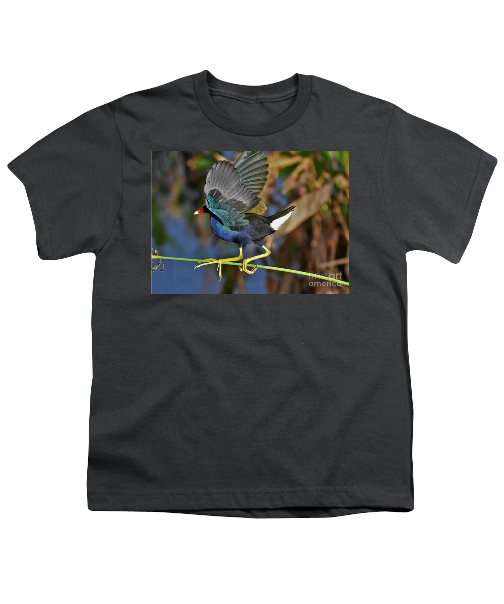 Purple Gallinule Youth T-Shirt featuring the photograph Walking The Line by Julie Adair