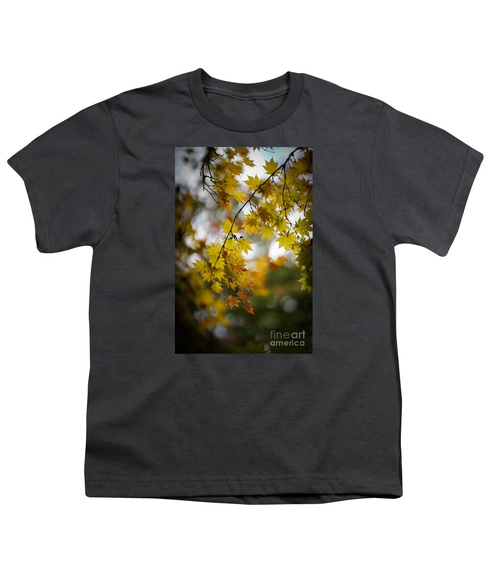 Leaves Youth T-Shirt featuring the photograph Walks in the Autumn Garden by Mike Reid