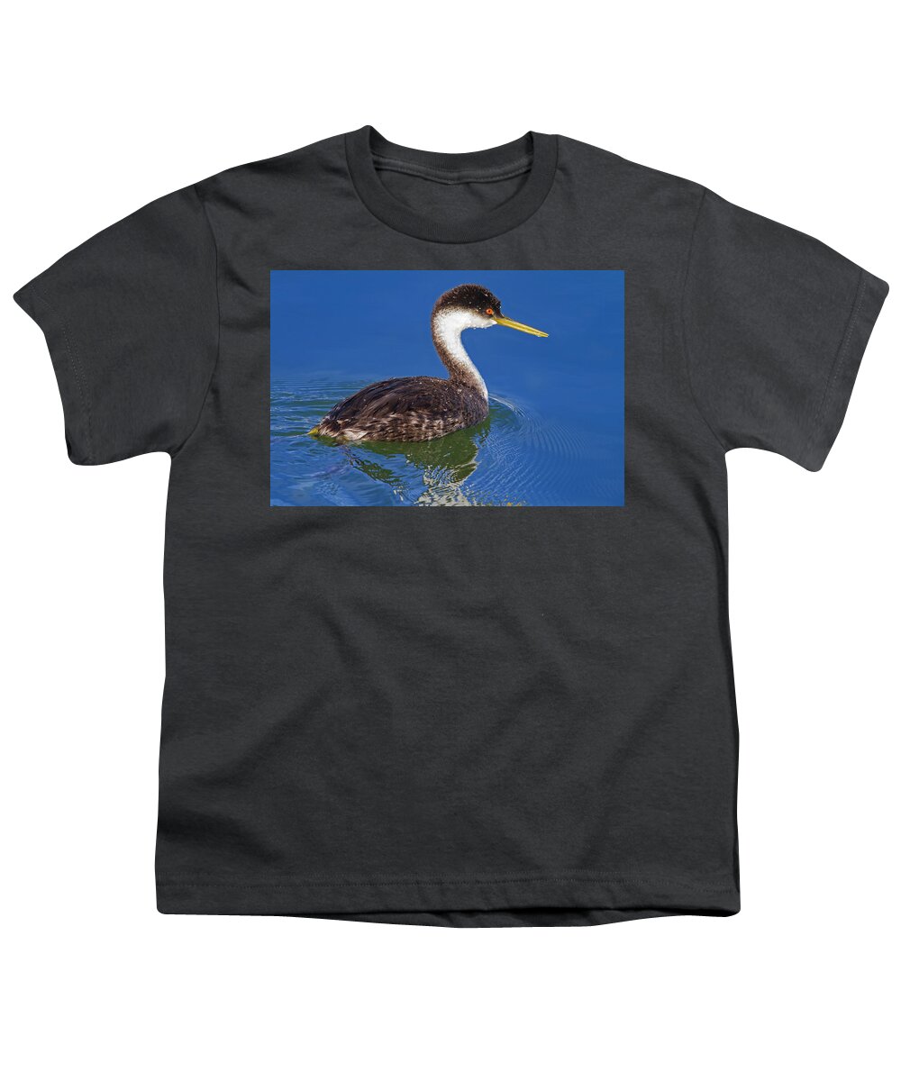 Mark Miller Photos Youth T-Shirt featuring the photograph Western Grebe by Mark Miller