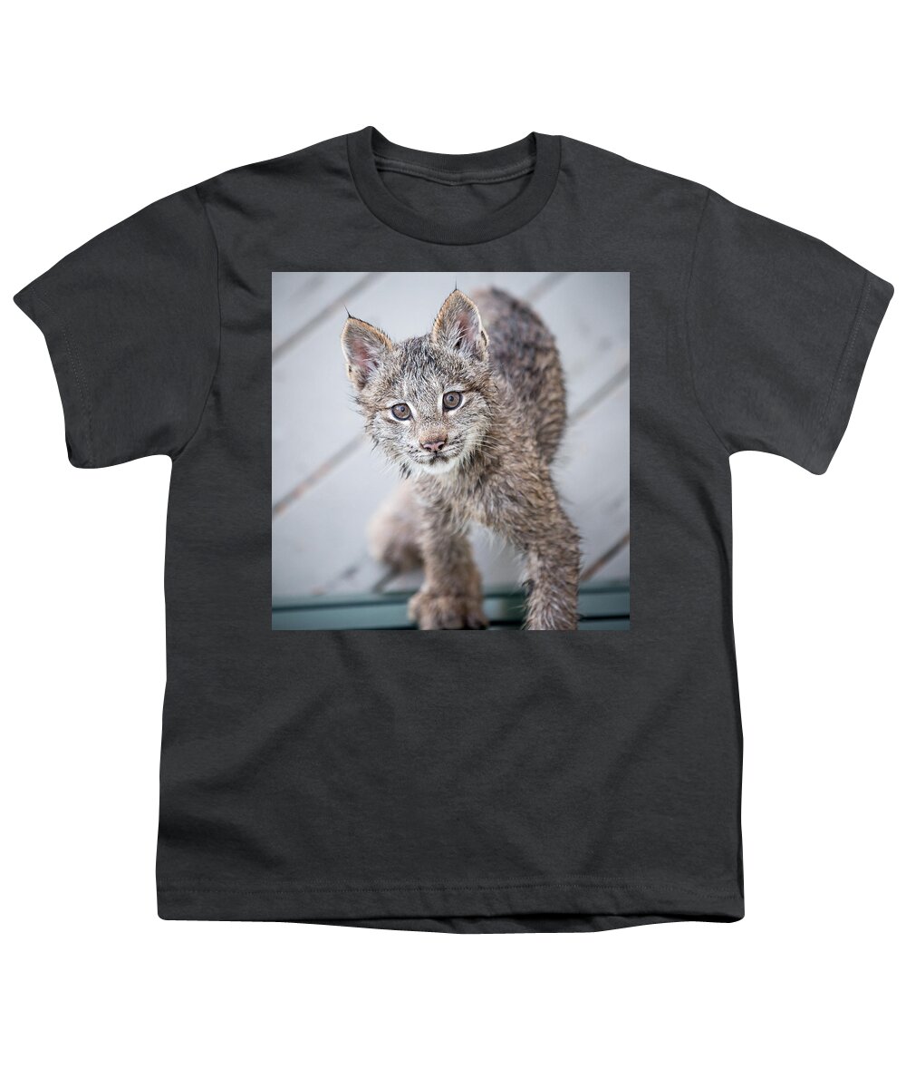 Lynx Youth T-Shirt featuring the photograph What ARE You by Tim Newton