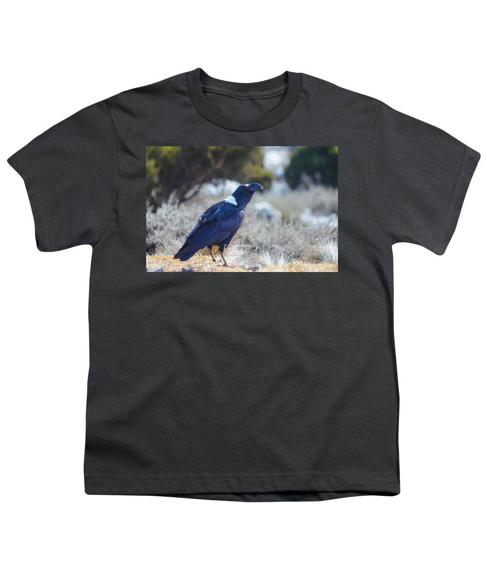Africa Youth T-Shirt featuring the photograph White-Necked Raven Camping Out on Kilimanjaro by Jeff at JSJ Photography