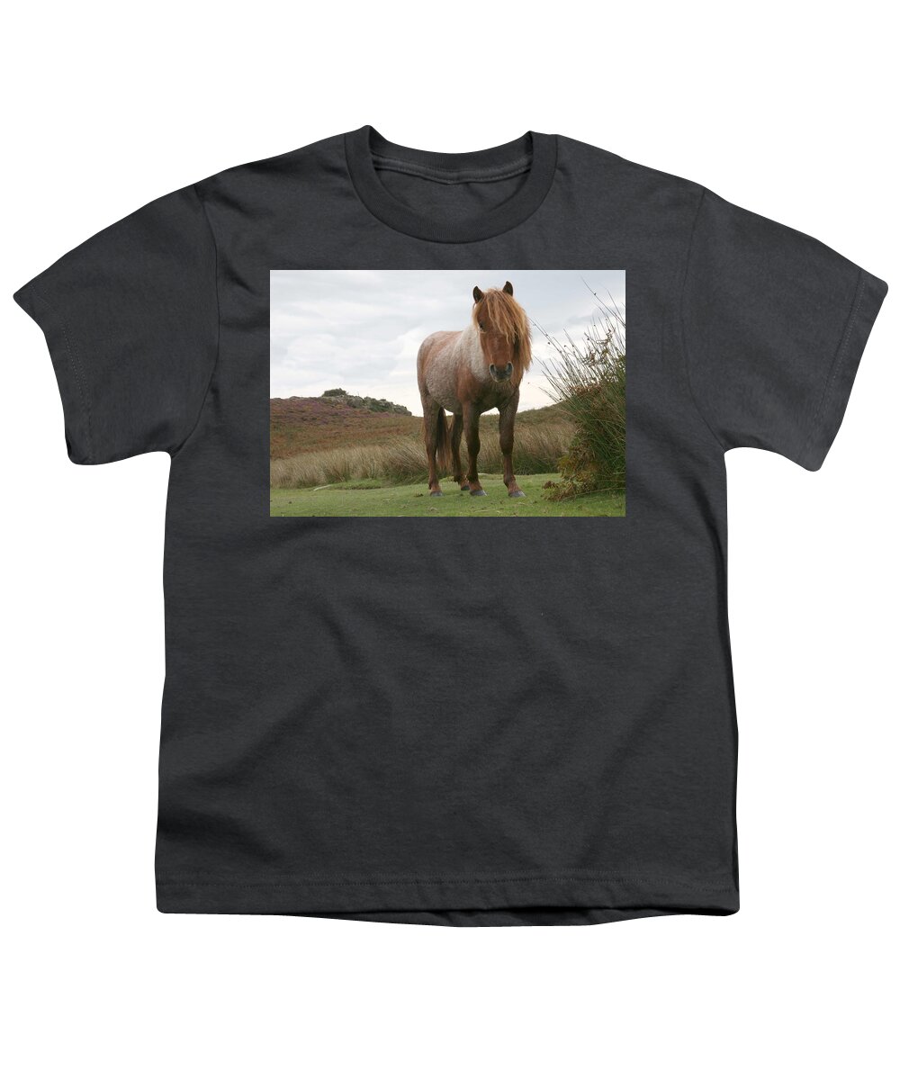 Horse Youth T-Shirt featuring the photograph Wild horse by Christopher Rowlands