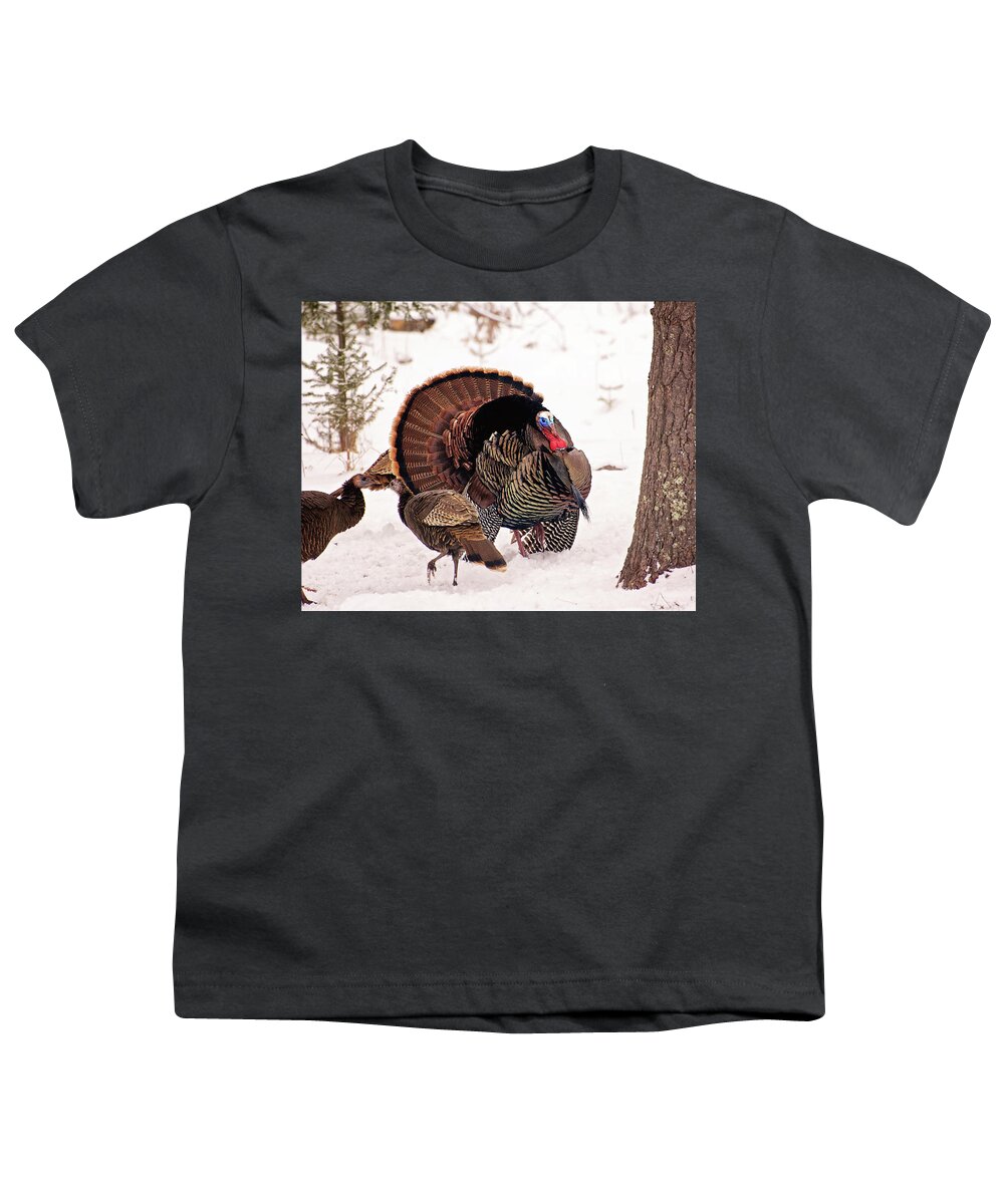 Wild Turkey Youth T-Shirt featuring the photograph Wild Turkey Parade Print by Gwen Gibson