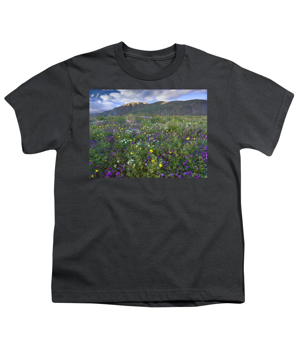00175221 Youth T-Shirt featuring the photograph Wildflowers Carpeting The Ground by Tim Fitzharris