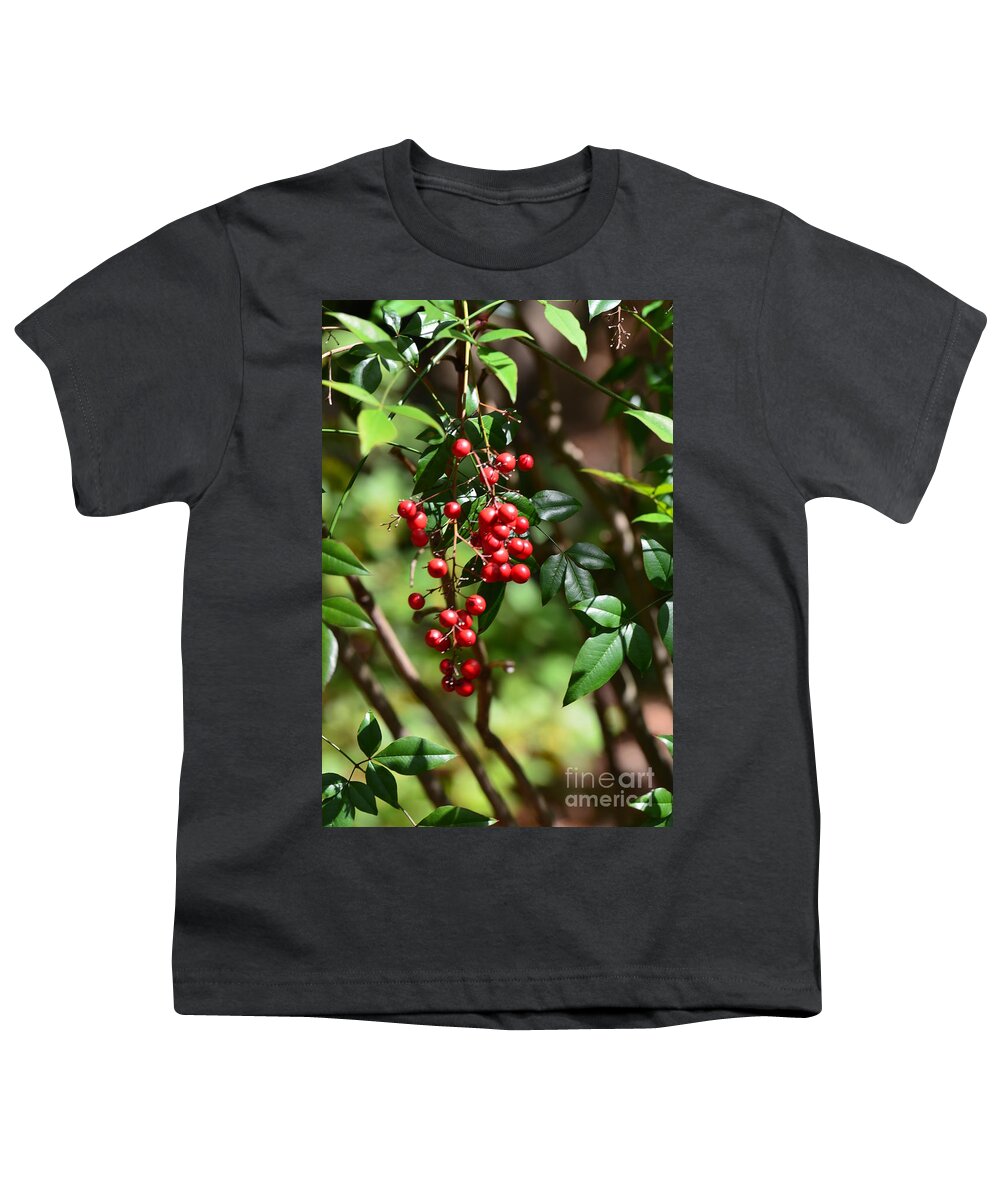 Red Berries Youth T-Shirt featuring the photograph Winterberry by Maria Urso