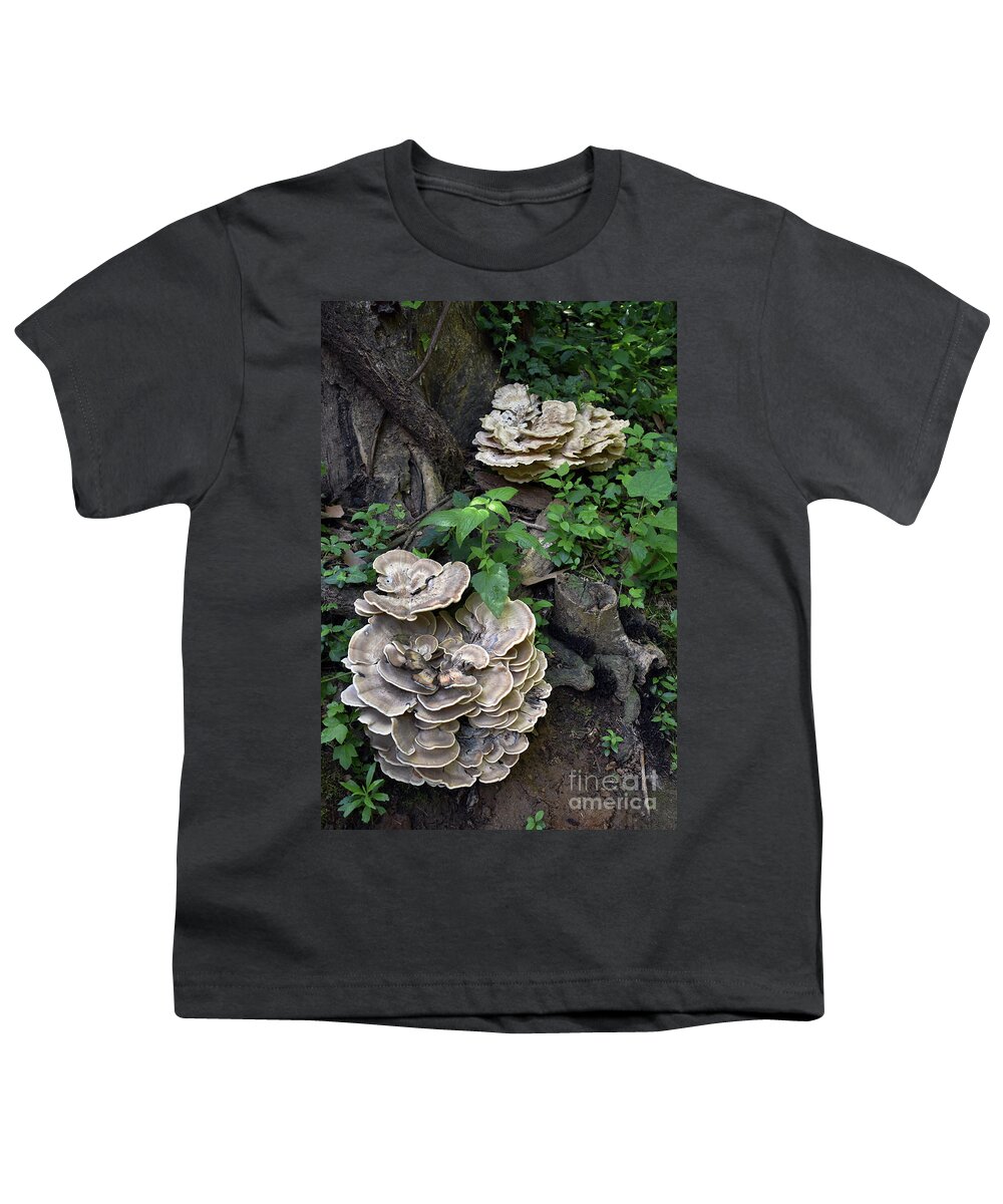 Scenic Youth T-Shirt featuring the photograph Woodland Growth by Skip Willits