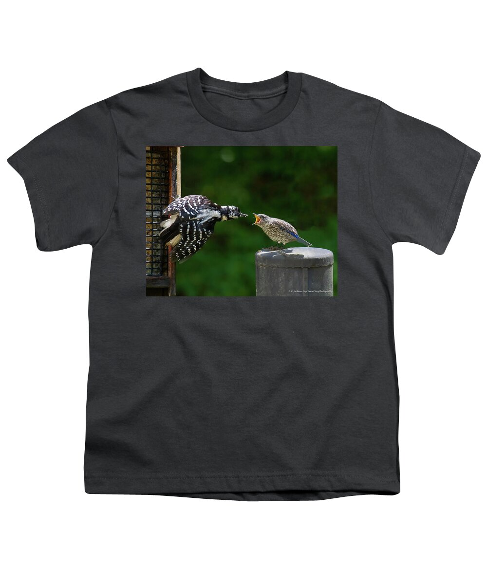 Woodpecker Youth T-Shirt featuring the photograph Woodpecker Feeding Bluebird by Robert L Jackson