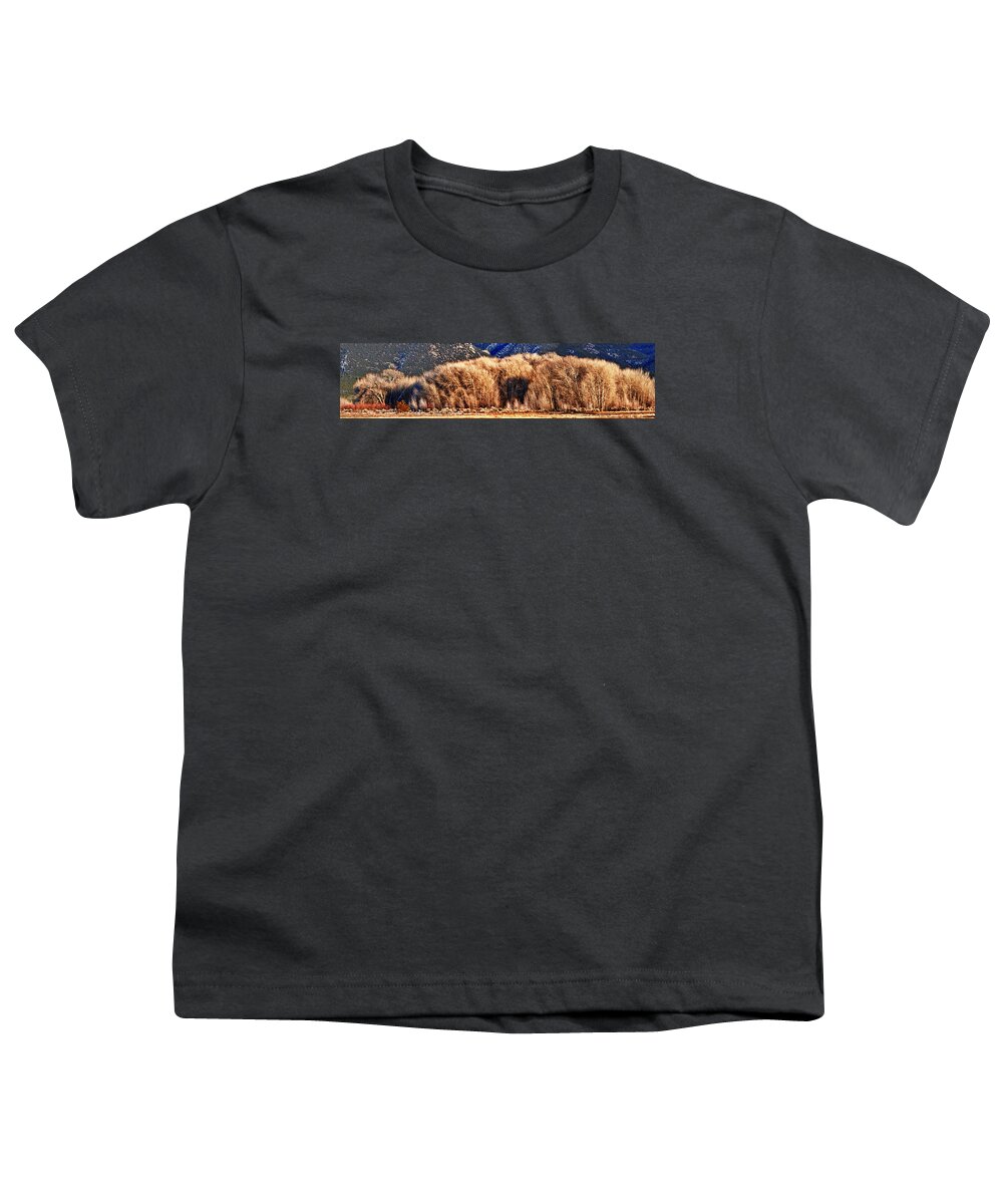 Colorado Naure Youth T-Shirt featuring the photograph Woods by OLena Art by Lena Owens - Vibrant DESIGN