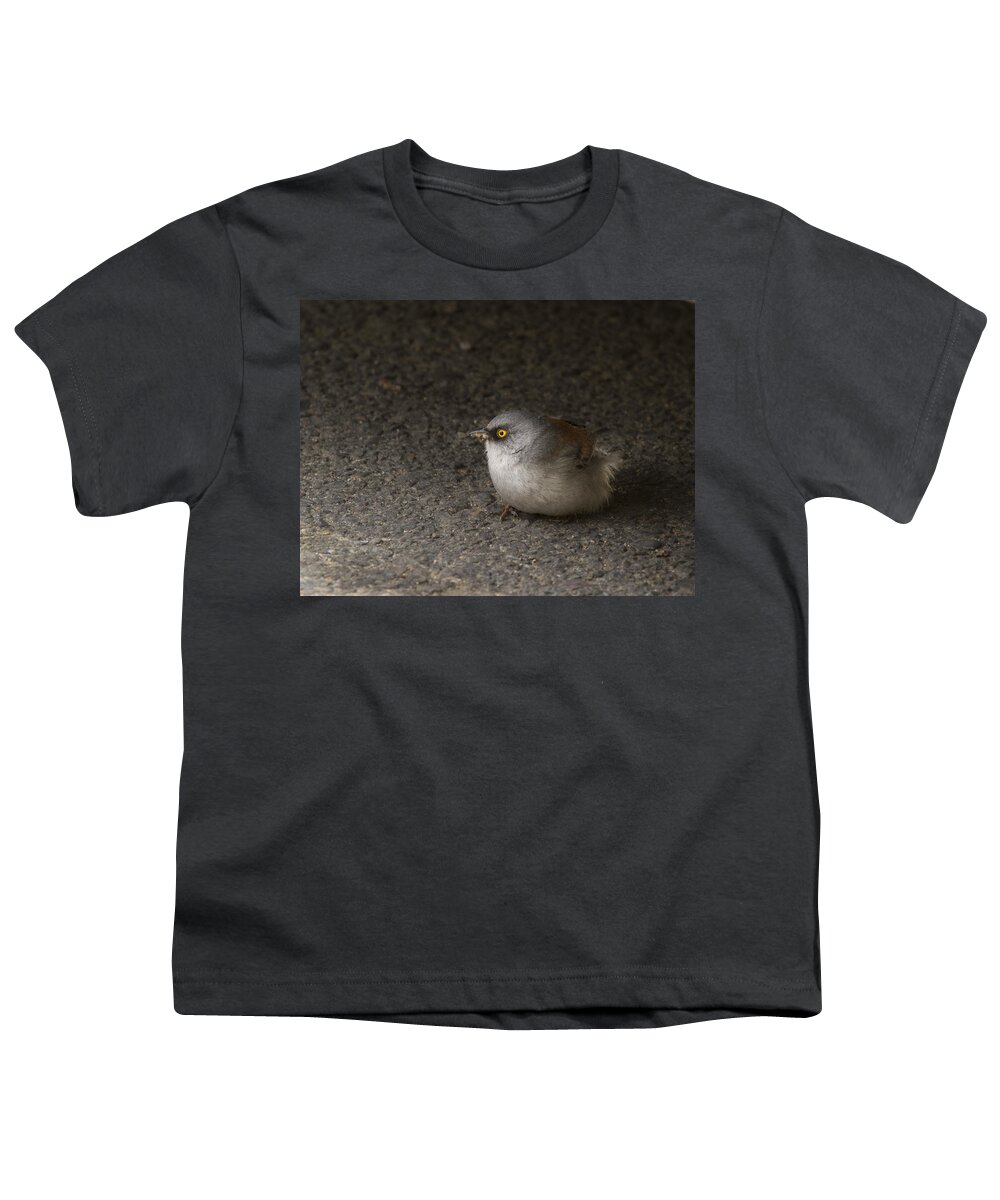 Jean Noren Youth T-Shirt featuring the photograph Yellow Eyed Junco by Jean Noren