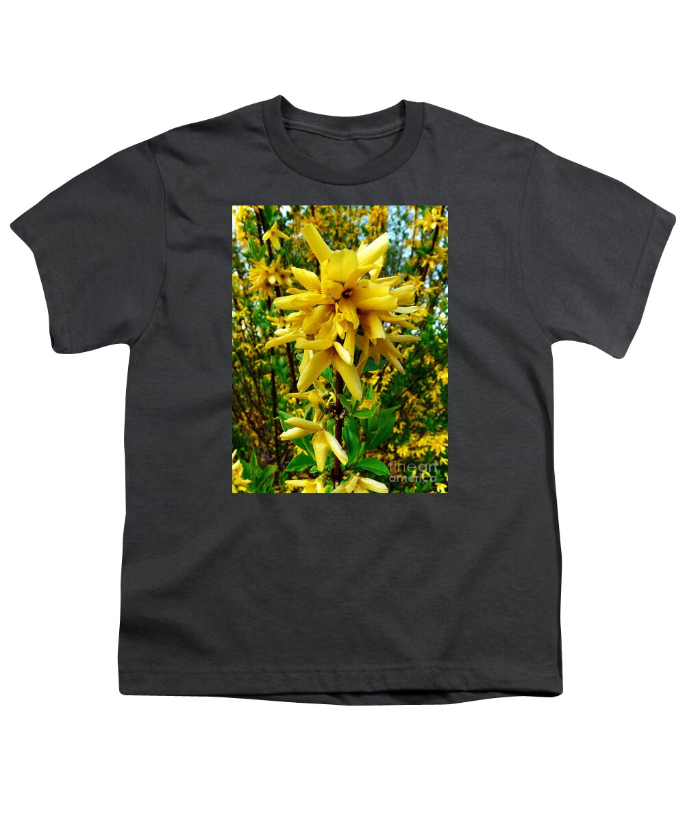 Forsythia Youth T-Shirt featuring the photograph Yellow Me by Jasna Dragun