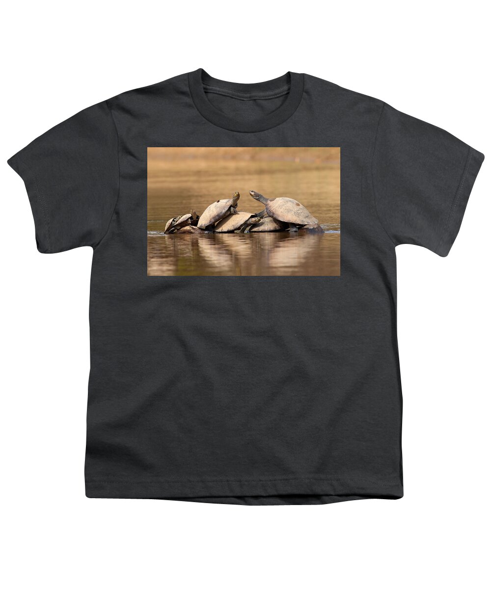 Yellow-spotted Amazon River Turtle Youth T-Shirt featuring the photograph Yellow-spotted Amazon River Turtles on Tree by Aivar Mikko
