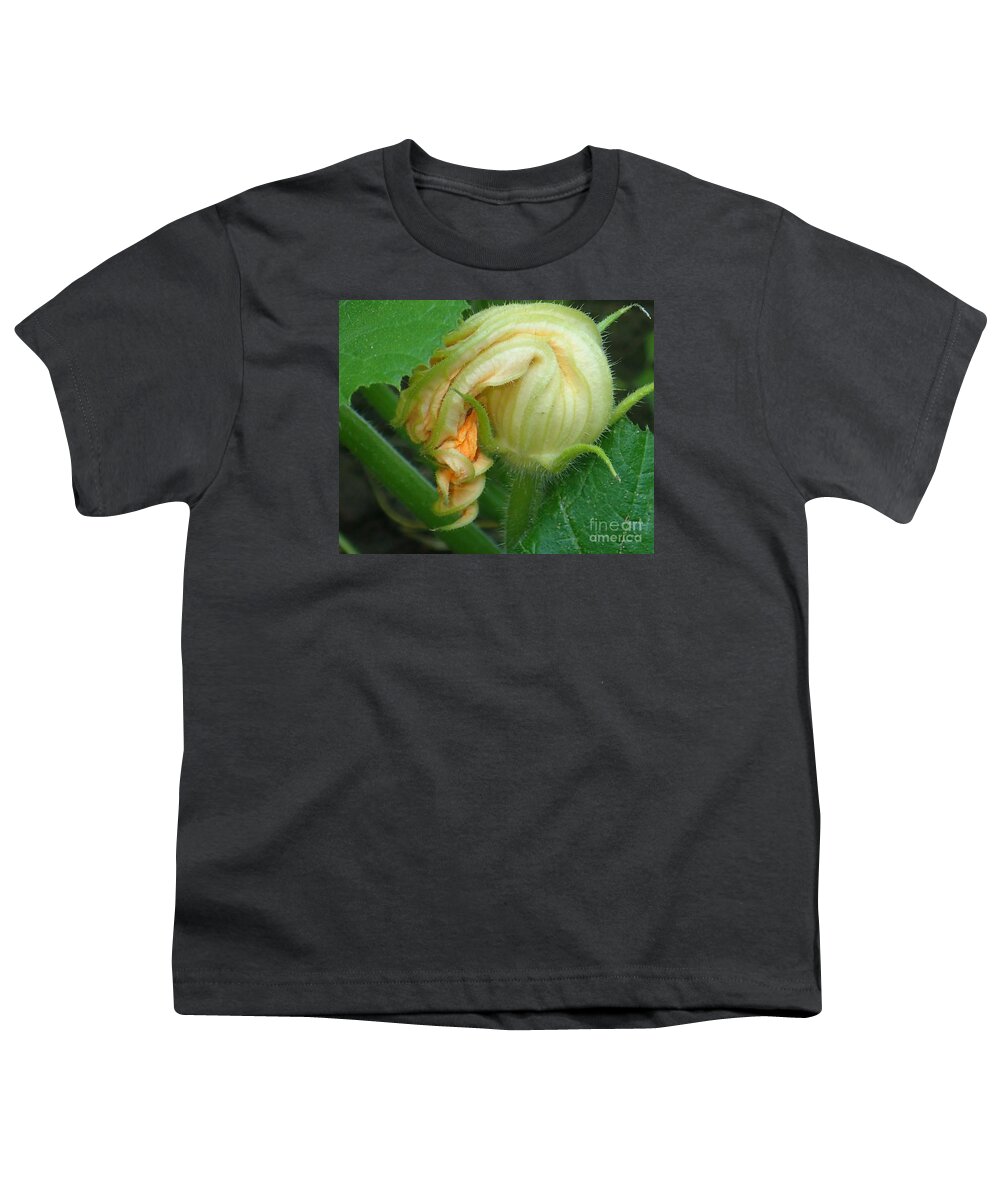 Nature Youth T-Shirt featuring the photograph Young Pumpkin Blossom by Christina Verdgeline