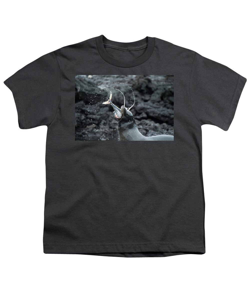 Animal Youth T-Shirt featuring the photograph Galapagos Sea Lion Eating Tuna #1 by Tui De Roy