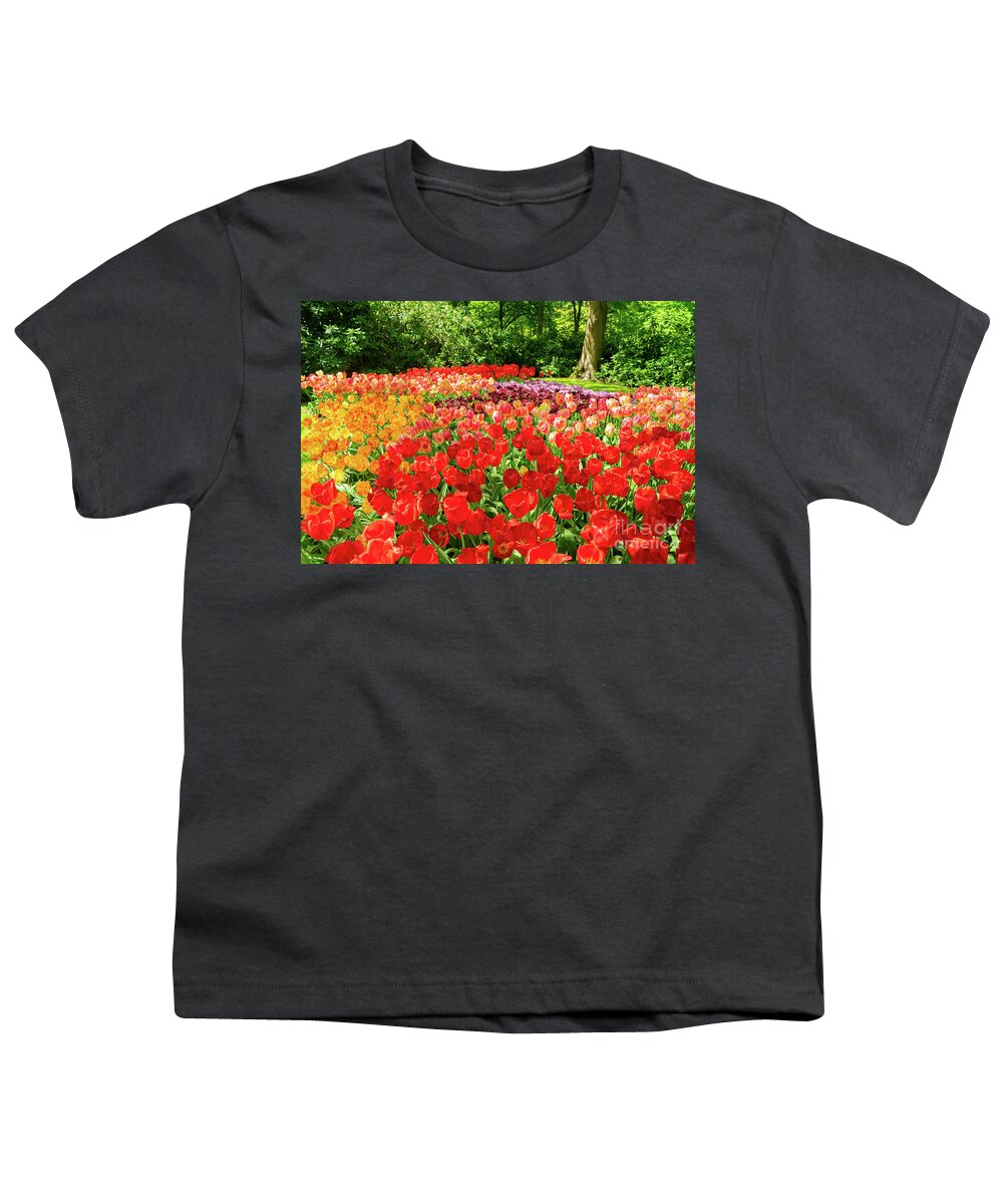 Netherlands Youth T-Shirt featuring the photograph Tulips Splash by Anastasy Yarmolovich