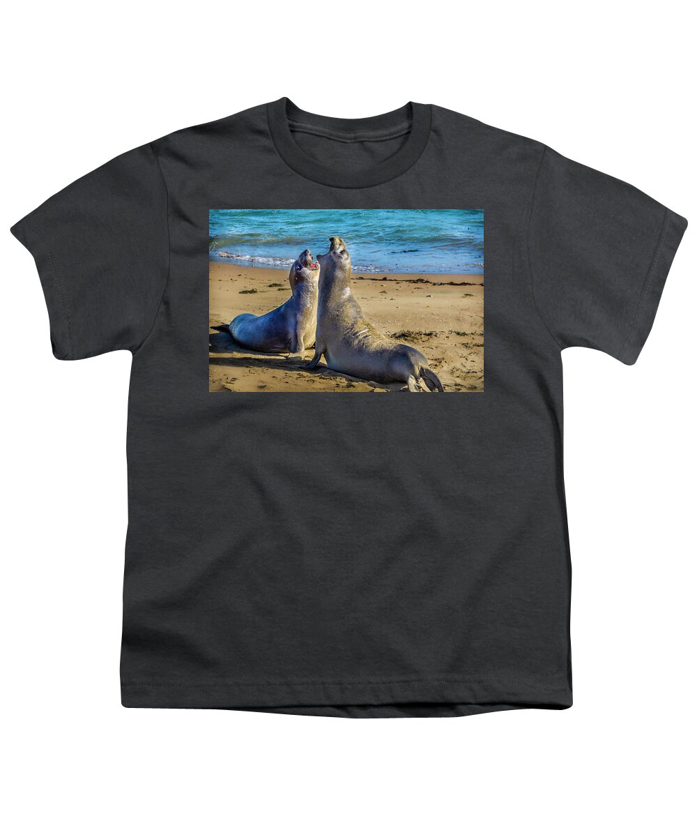 California Youth T-Shirt featuring the photograph sparring Elephant Seals #1 by Donald Pash