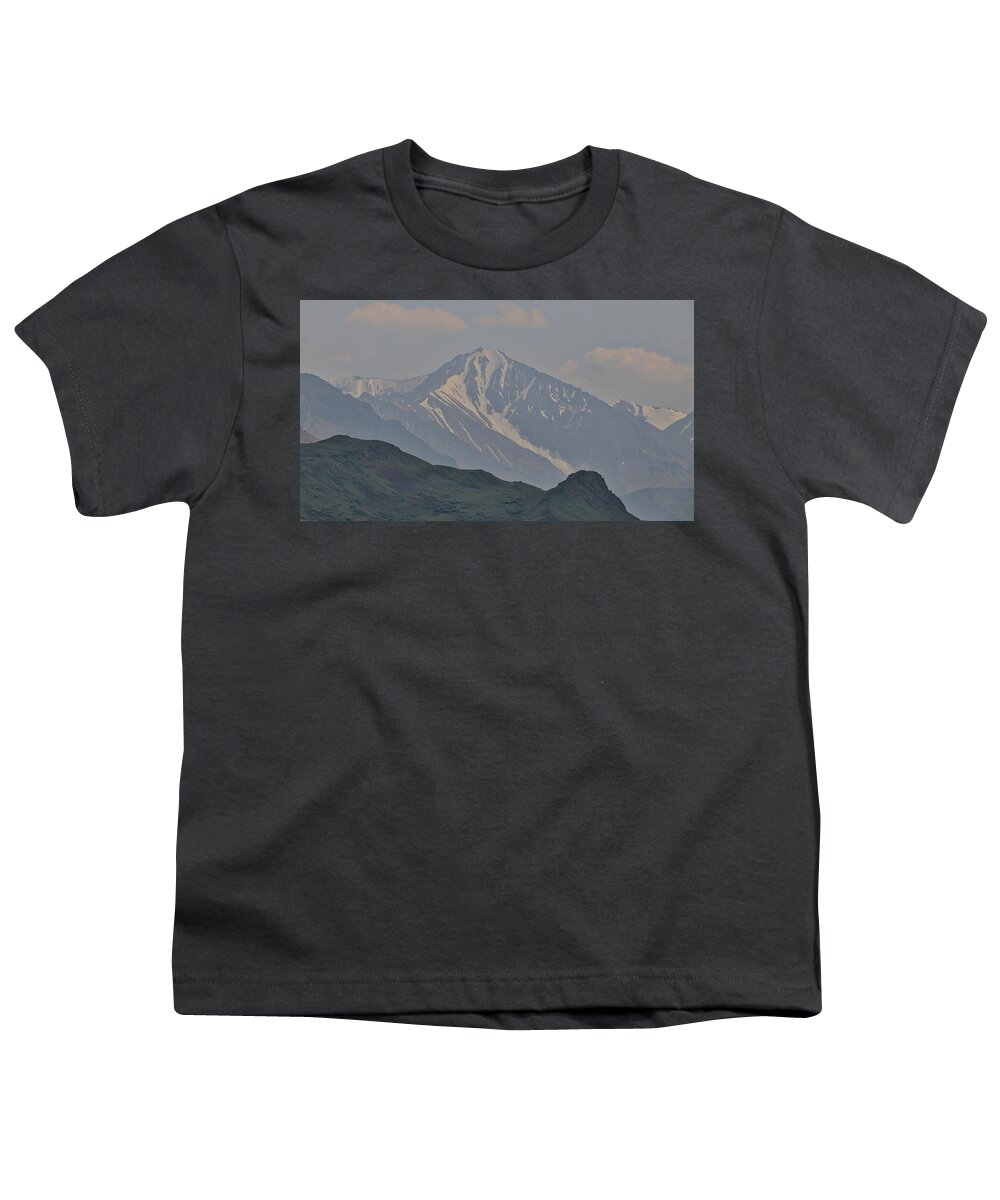 Denali Np Alaska Usa Youth T-Shirt featuring the photograph Denali NP Alaska USA #10 by Paul James Bannerman