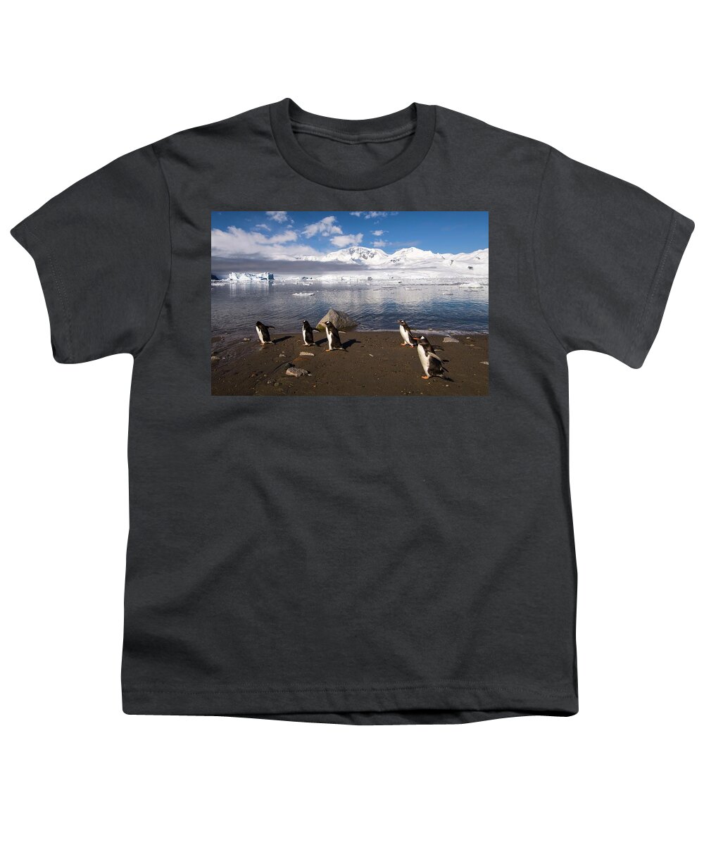 Estock Youth T-Shirt featuring the digital art Gentoo Penguins #2 by Jacana Stock