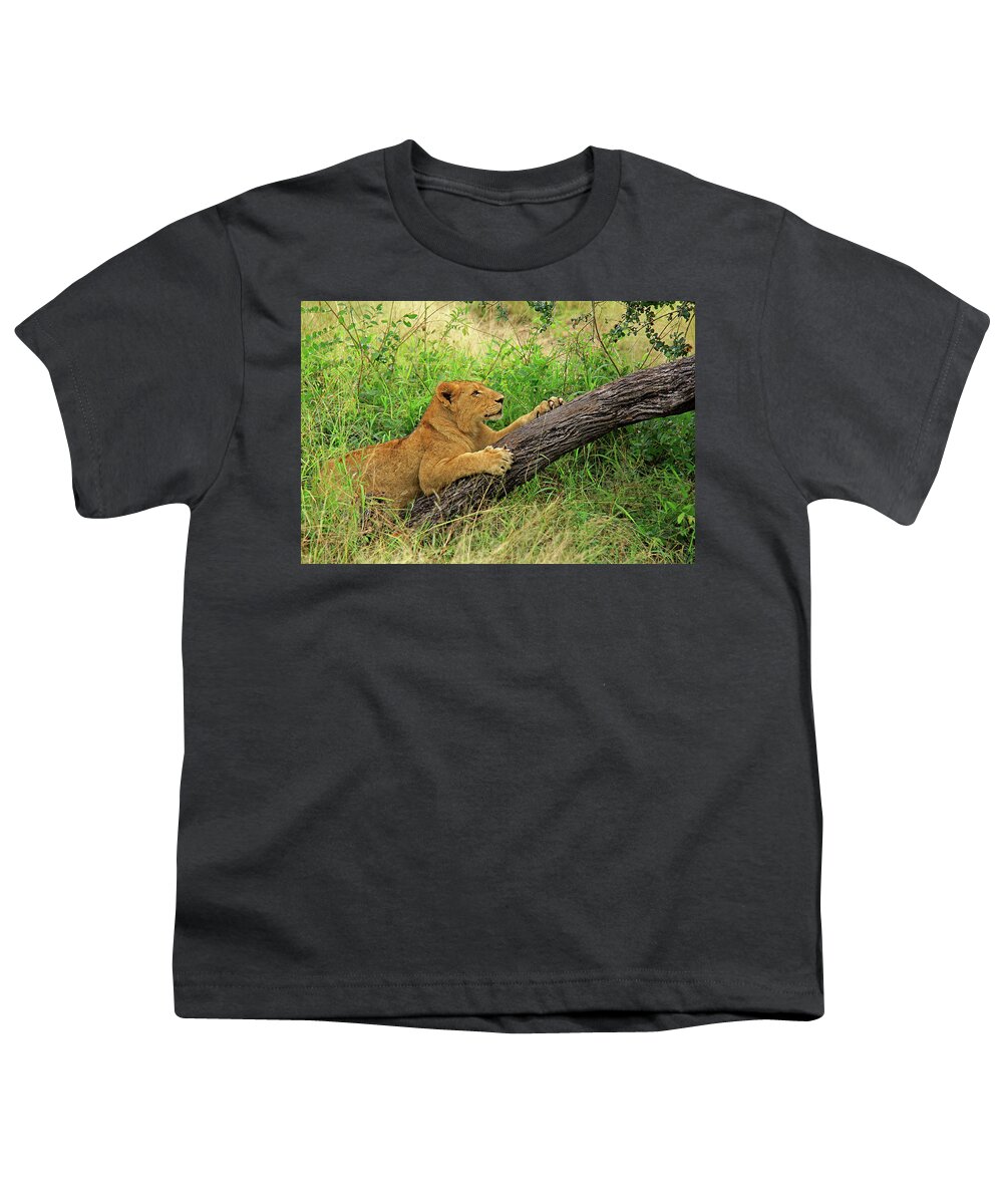 Lion Youth T-Shirt featuring the photograph Lioness #1 by Richard Krebs