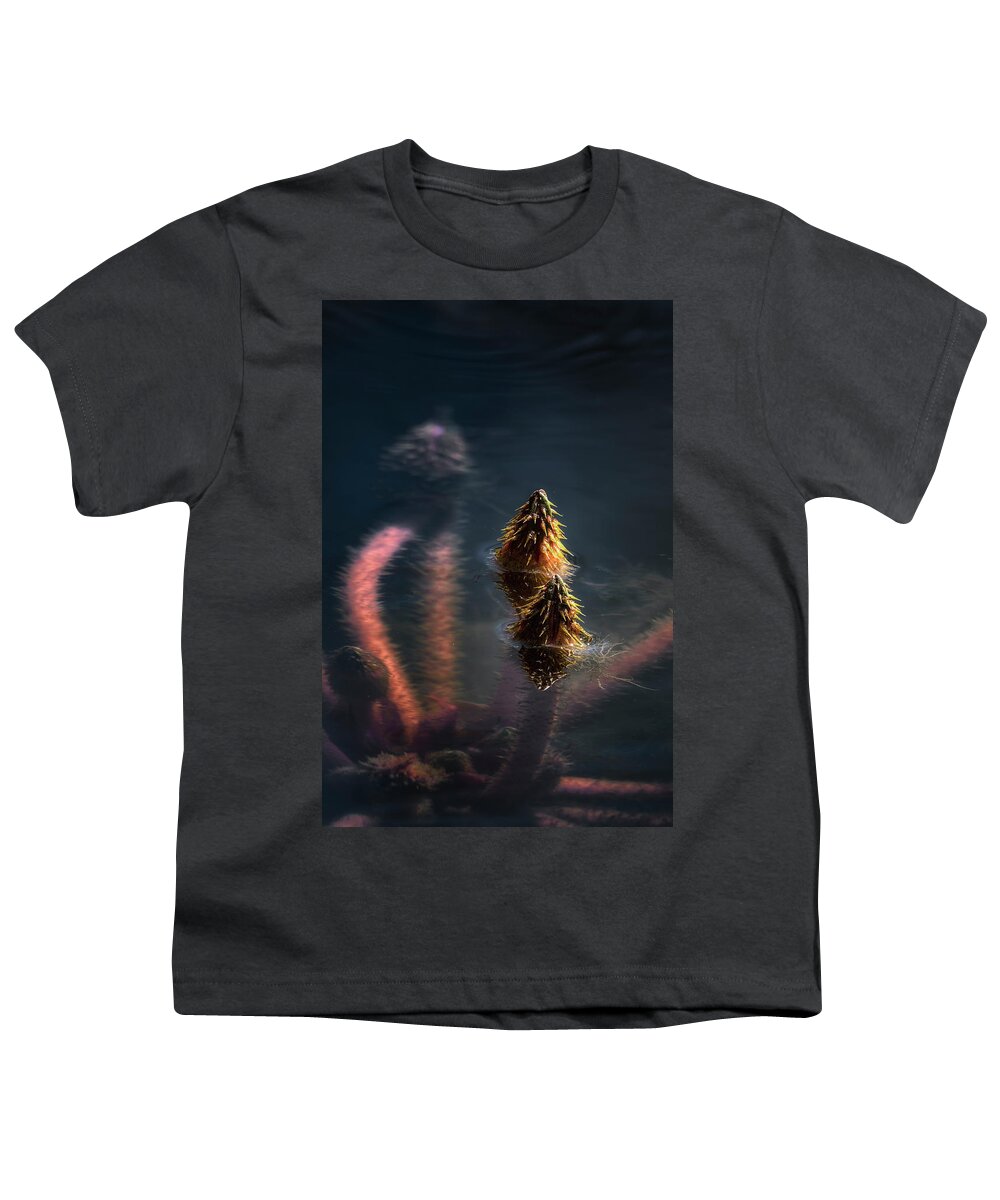 Water Lily Youth T-Shirt featuring the photograph On The Rise #2 by Robert Fawcett