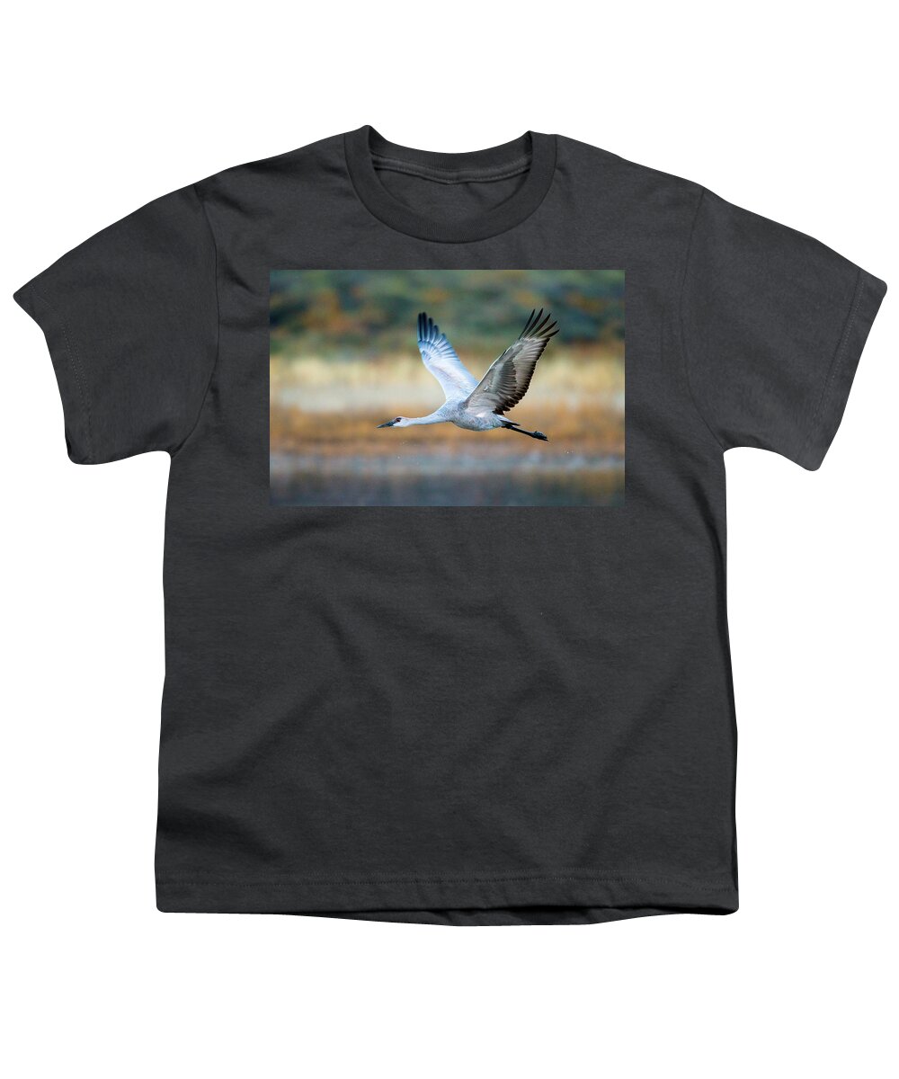 Photography Youth T-Shirt featuring the photograph Sandhill Crane, Soccoro, New Mexico, Usa #2 by Panoramic Images