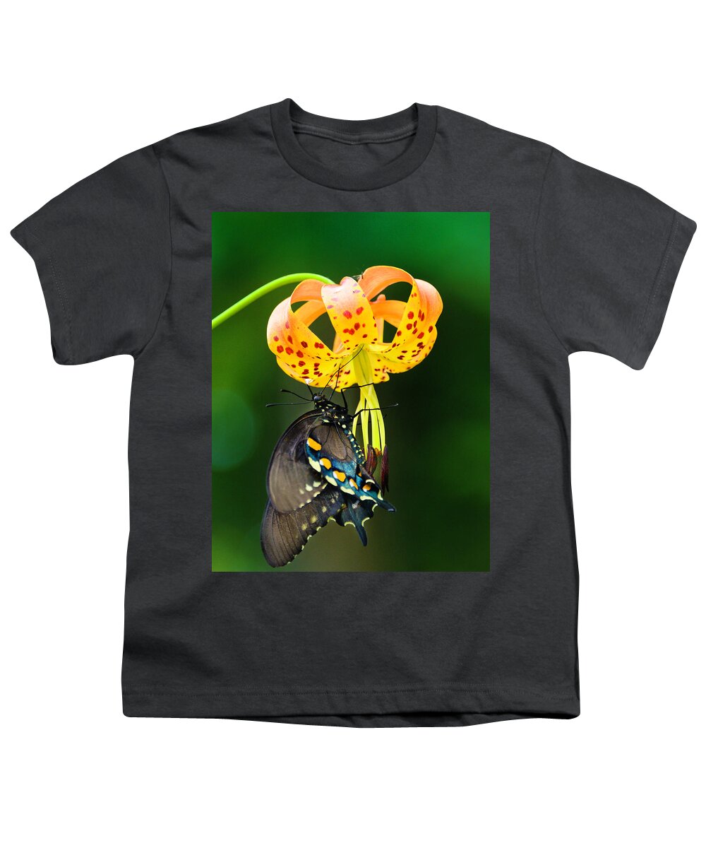 Africa Youth T-Shirt featuring the photograph Swallowtail On Turks Cap #2 by Donald Brown