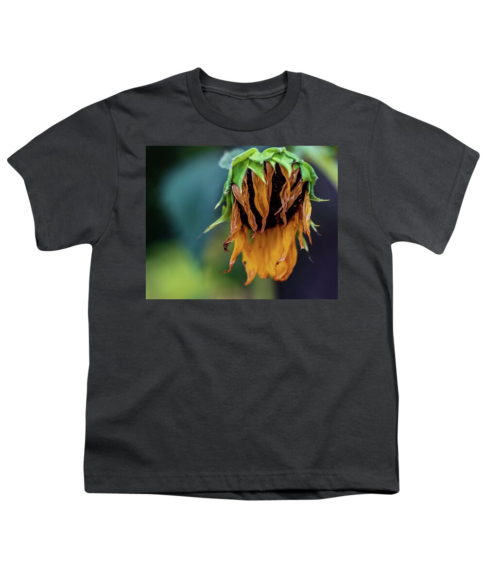 Arboretum Youth T-Shirt featuring the photograph Nature Photography Sunflower by Amelia Pearn
