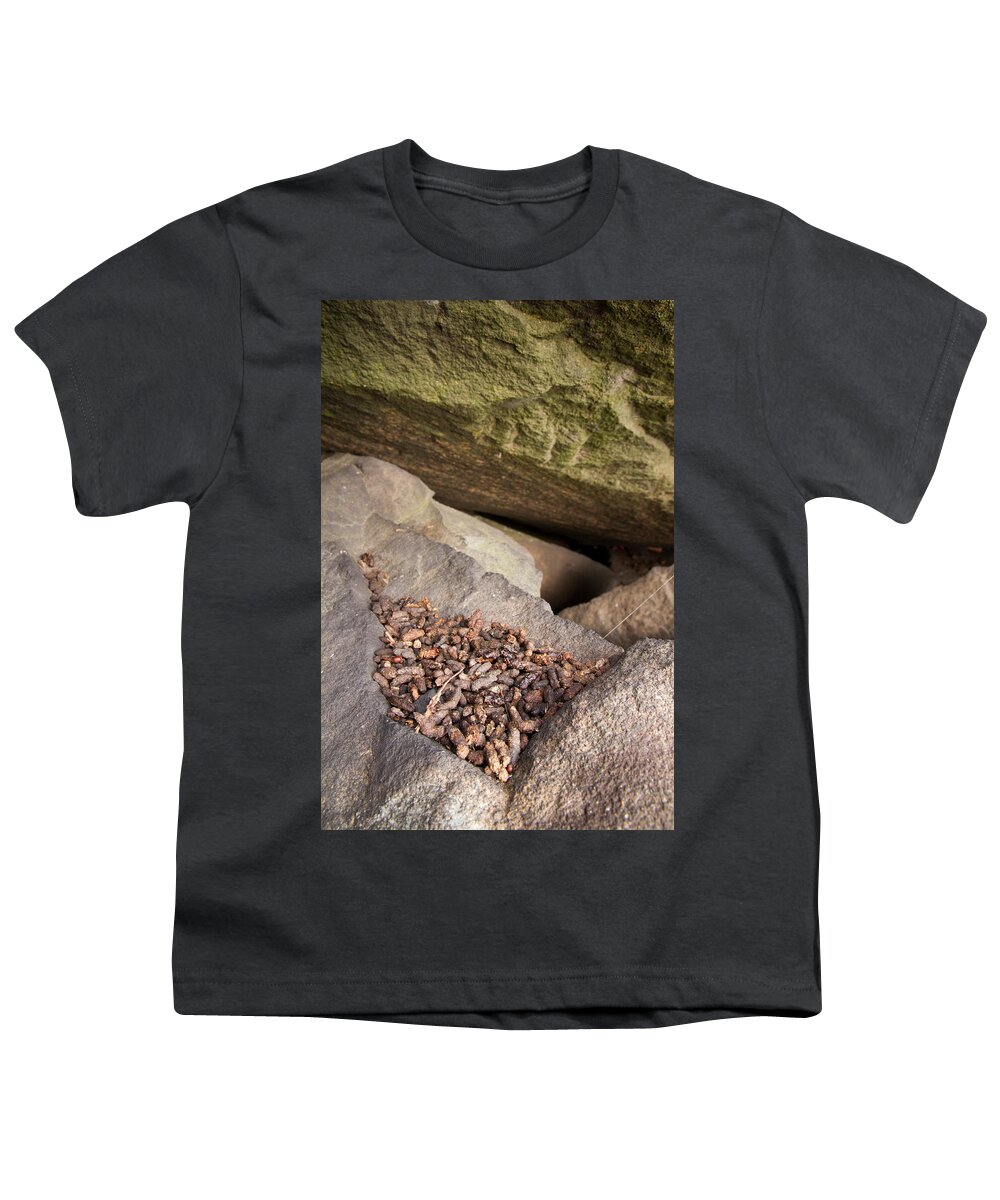 Allegheny Woodrat Youth T-Shirt featuring the photograph Allegheny Woodrat Neotoma Magister by David Kenny