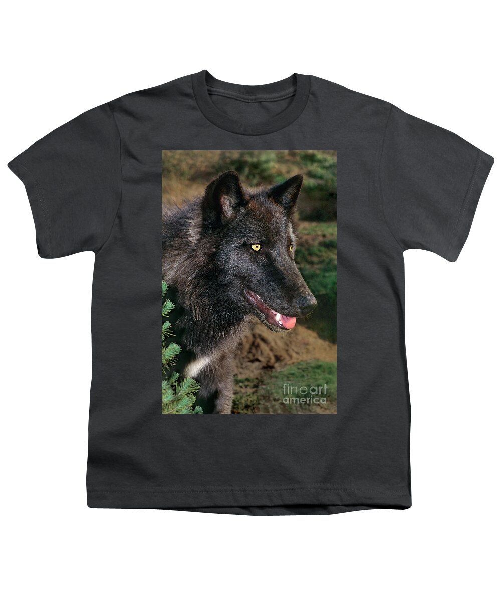Dave Welling Youth T-Shirt featuring the photograph A Juvenile Gray Wolf Canis Lupus Wildlife Rescue by Dave Welling