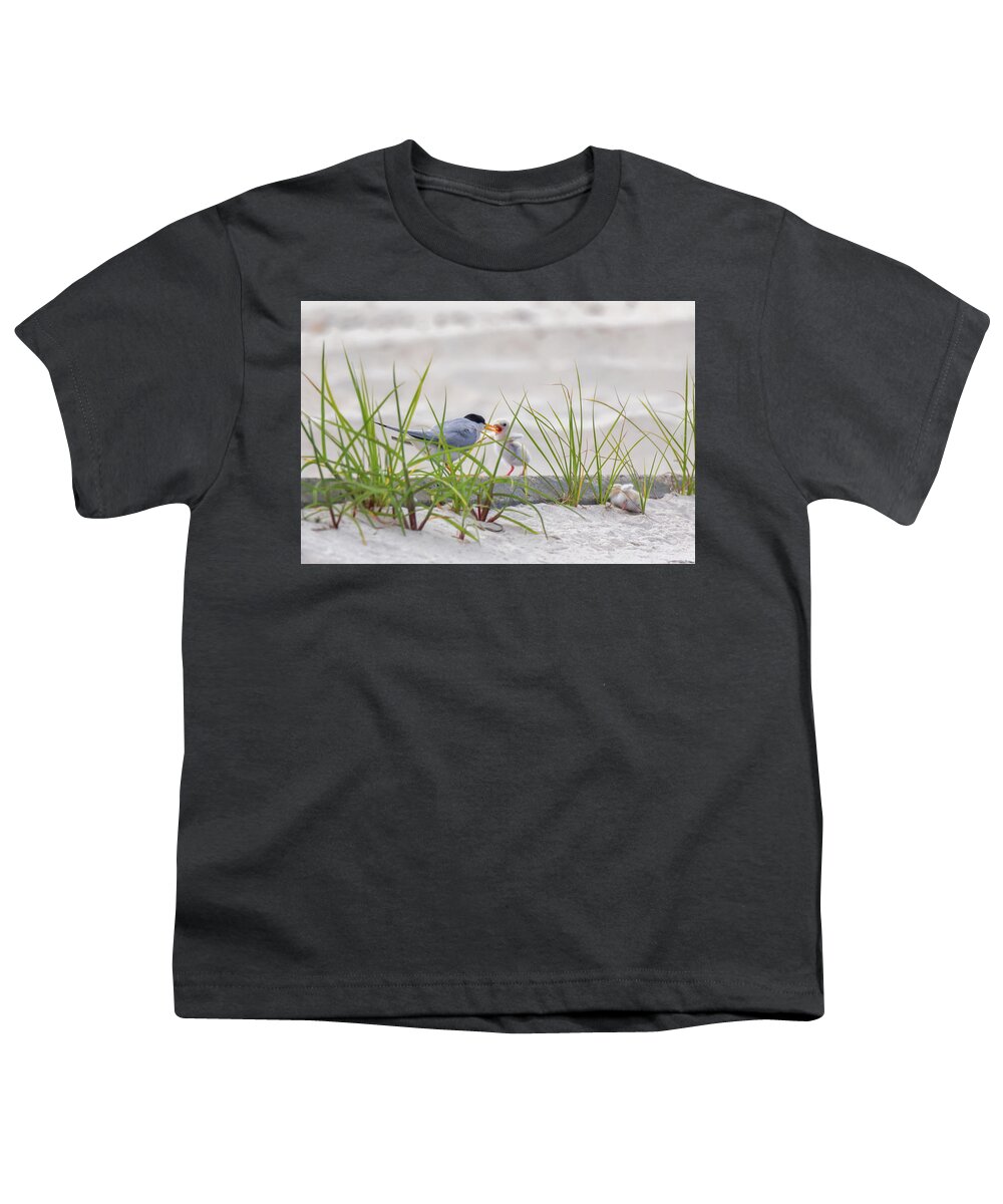 Baby Birds Youth T-Shirt featuring the photograph A Quick Feeding by Susan Rissi Tregoning