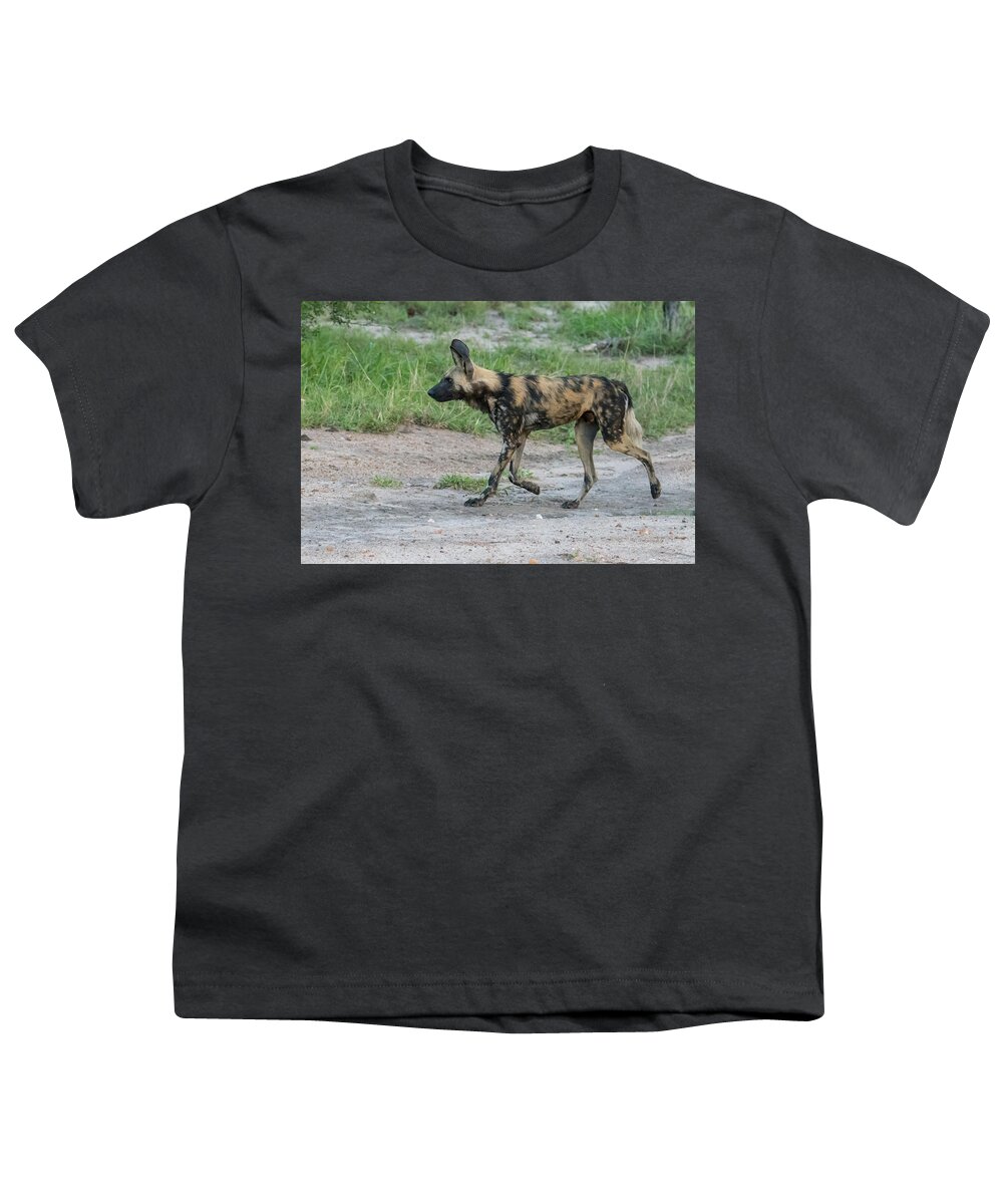 Wild Dog Youth T-Shirt featuring the photograph African wild dog on patrol by Mark Hunter