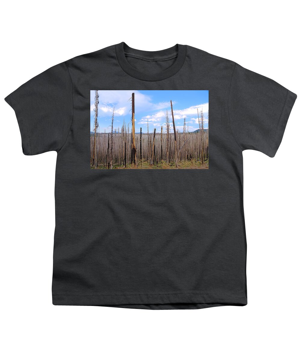 After Fire In Lassen Volcanic Park Youth T-Shirt featuring the photograph After Fire In Lassen Volcanic Park by Viktor Savchenko