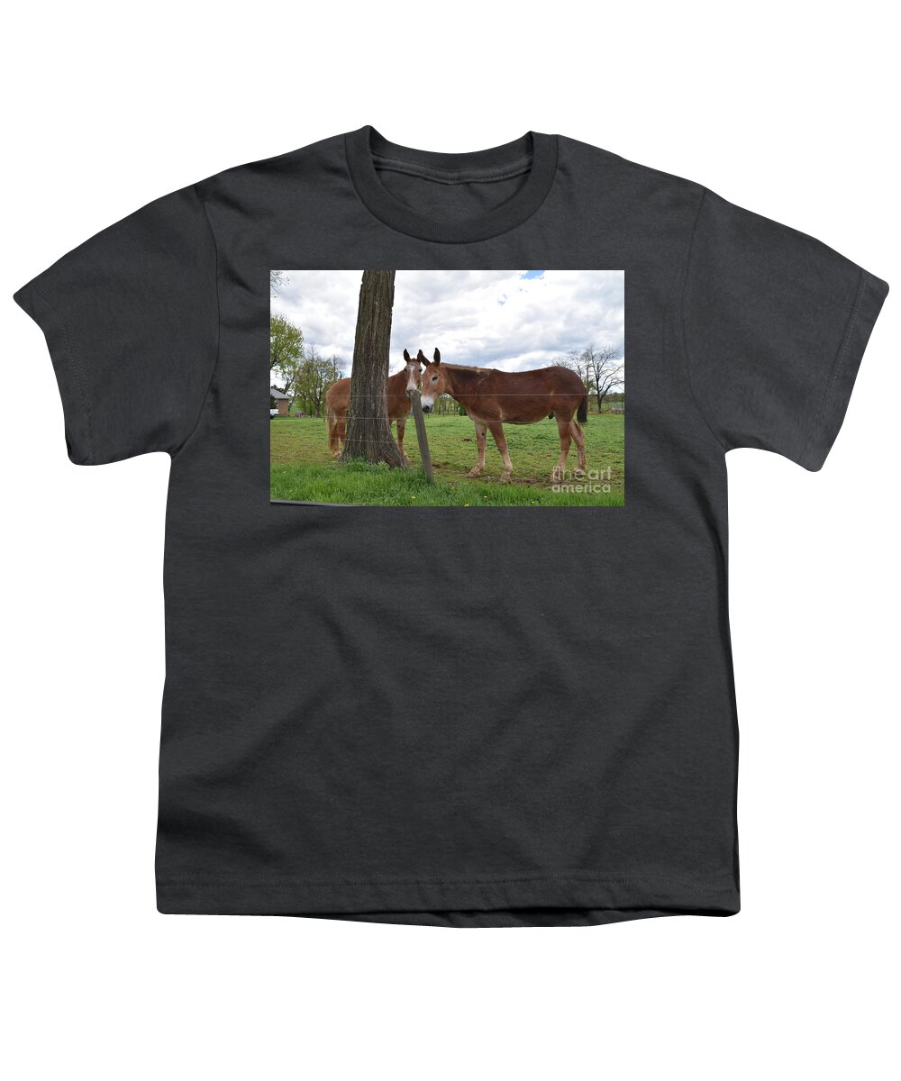 Amish Youth T-Shirt featuring the photograph Amish Animals on a Spring Afternoon by Christine Clark