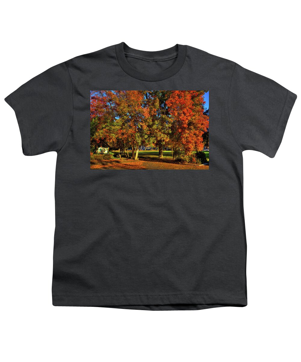 Autumn In Reaney Park Youth T-Shirt featuring the photograph Autumn in Reaney Park by David Patterson