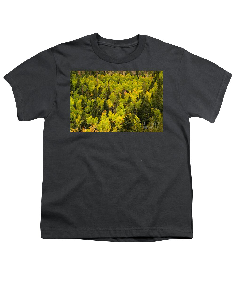 Autumn Youth T-Shirt featuring the photograph Autumn in the mountains by Jeff Swan