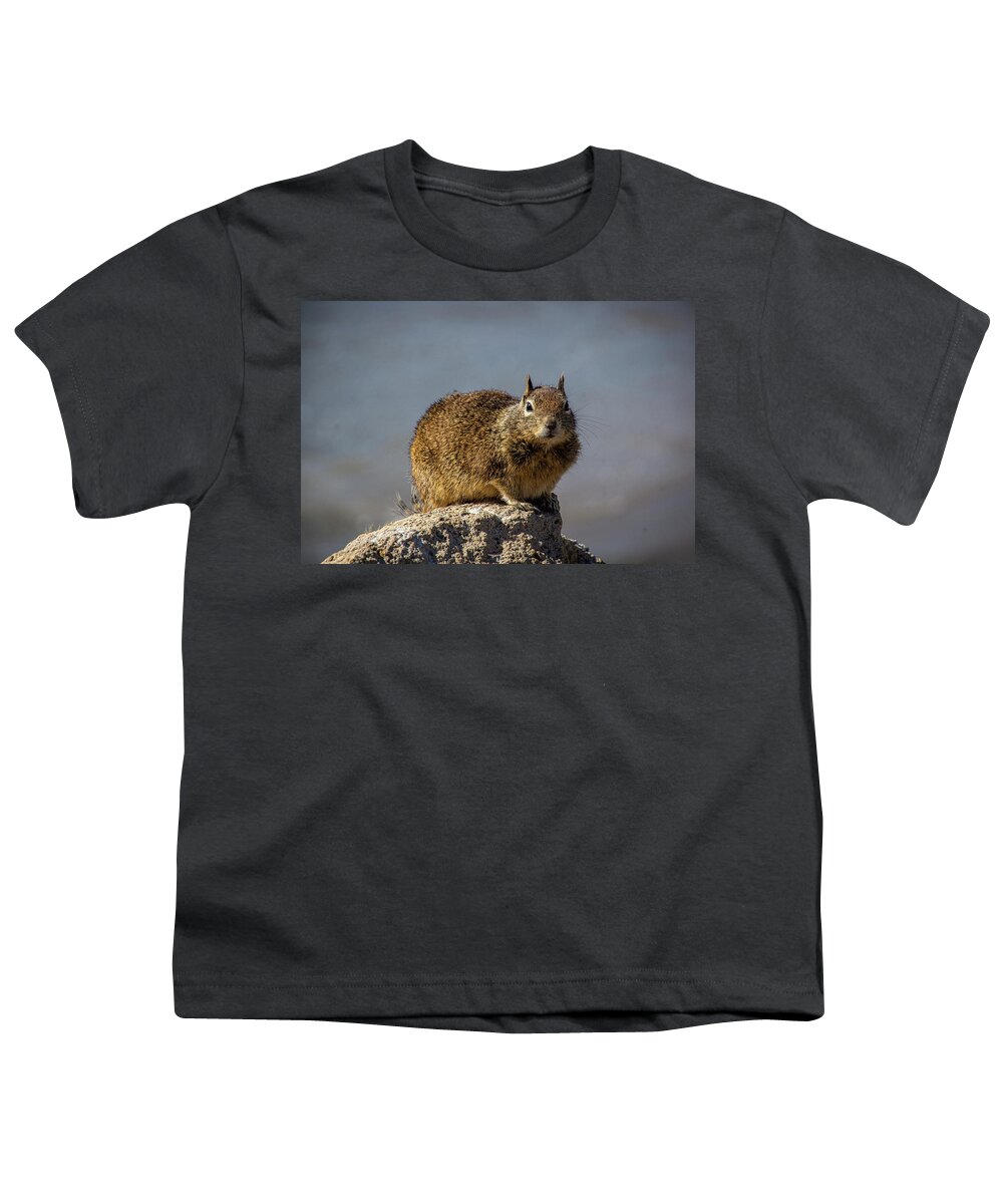 Beach Squirrel Youth T-Shirt featuring the photograph Beach Squirrel by Donald Pash